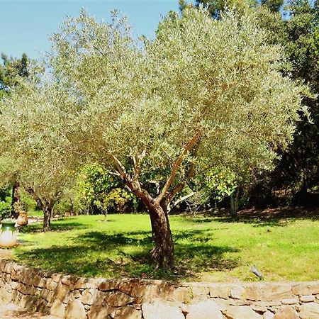 פאבונה Casa Del Sole Chambres D'Hotes De Charme מראה חיצוני תמונה