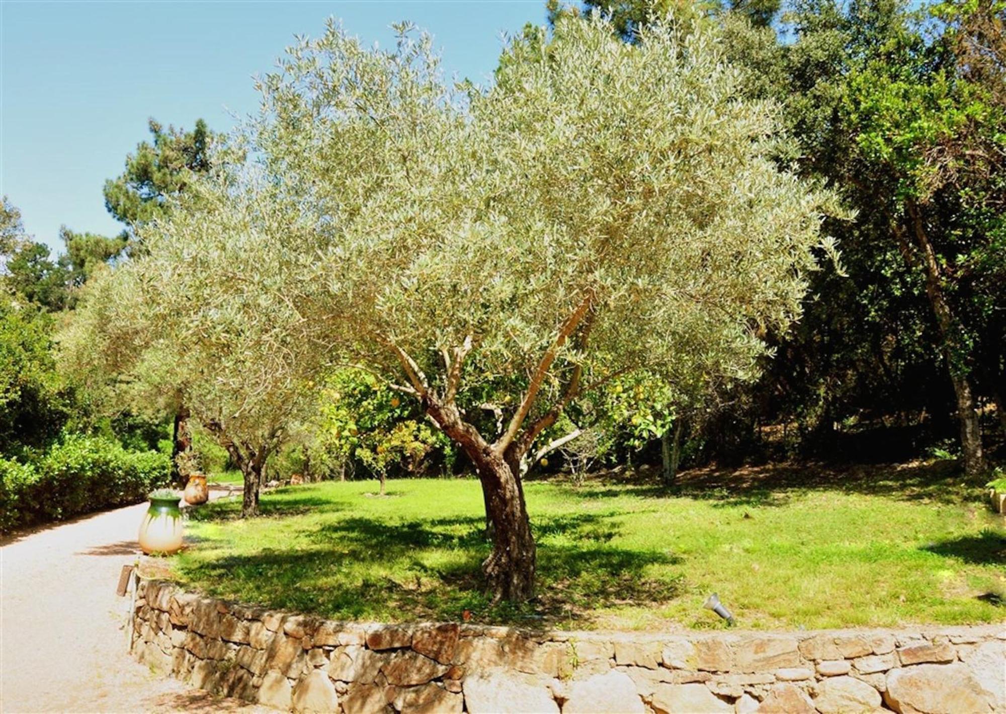 פאבונה Casa Del Sole Chambres D'Hotes De Charme מראה חיצוני תמונה